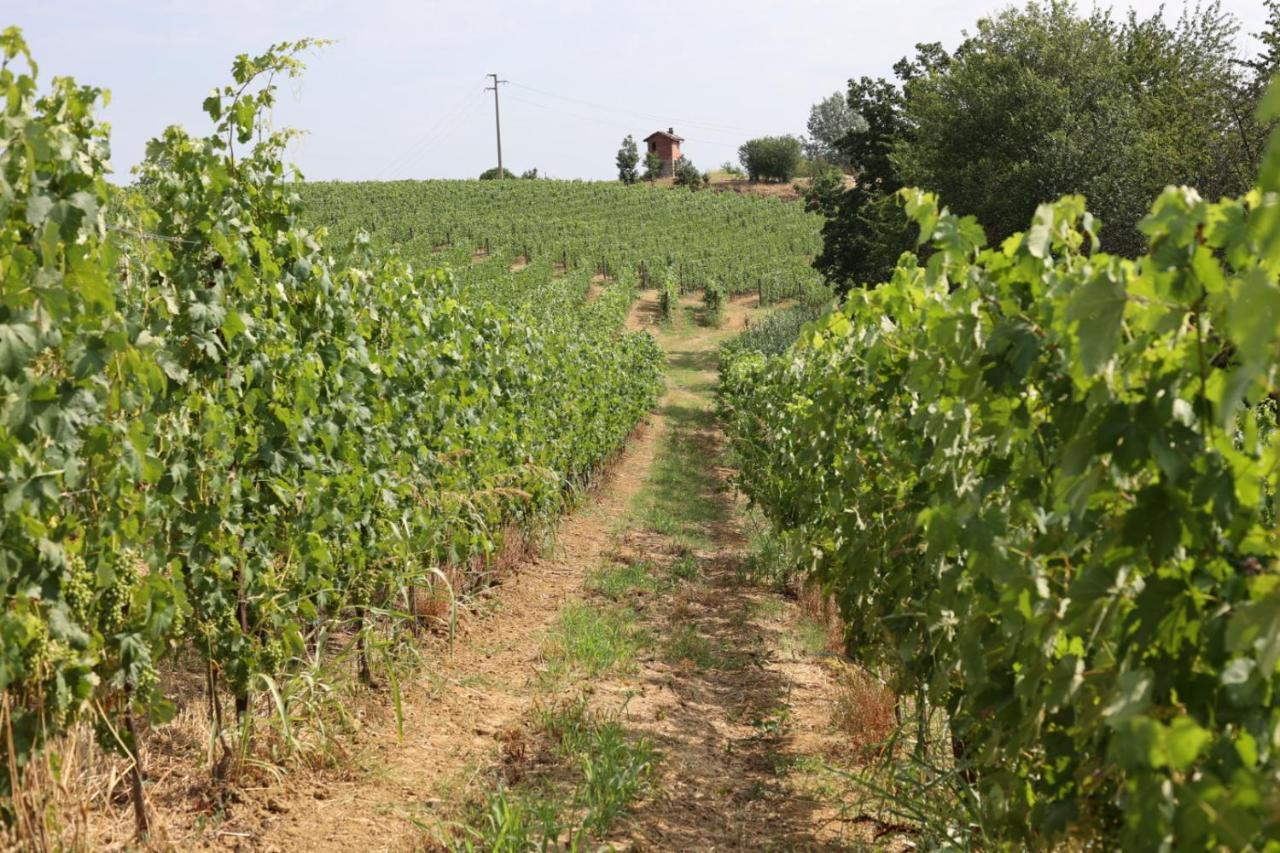 Braida Wine Resort Rocchetta Tanaro エクステリア 写真