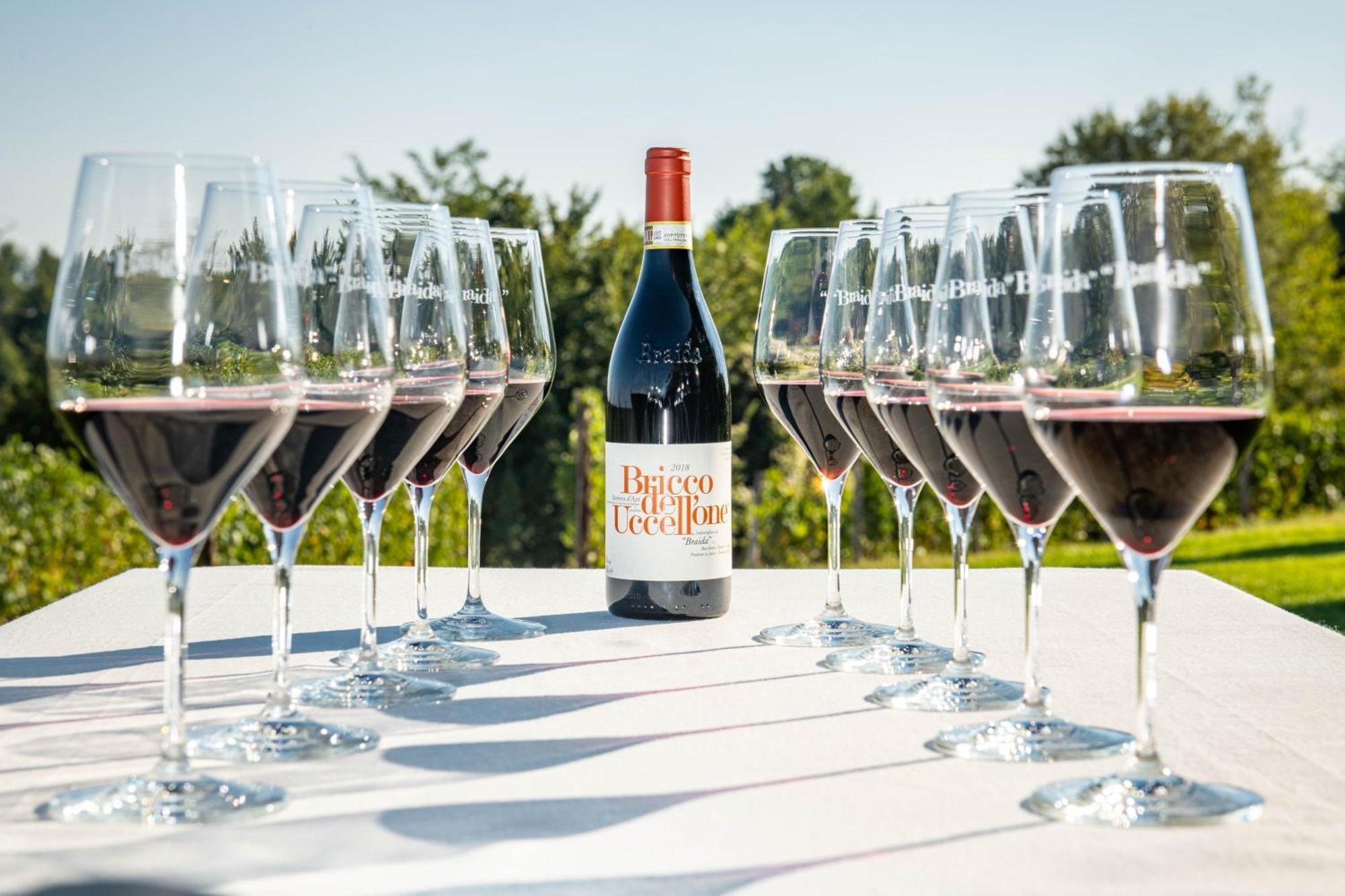Braida Wine Resort Rocchetta Tanaro エクステリア 写真
