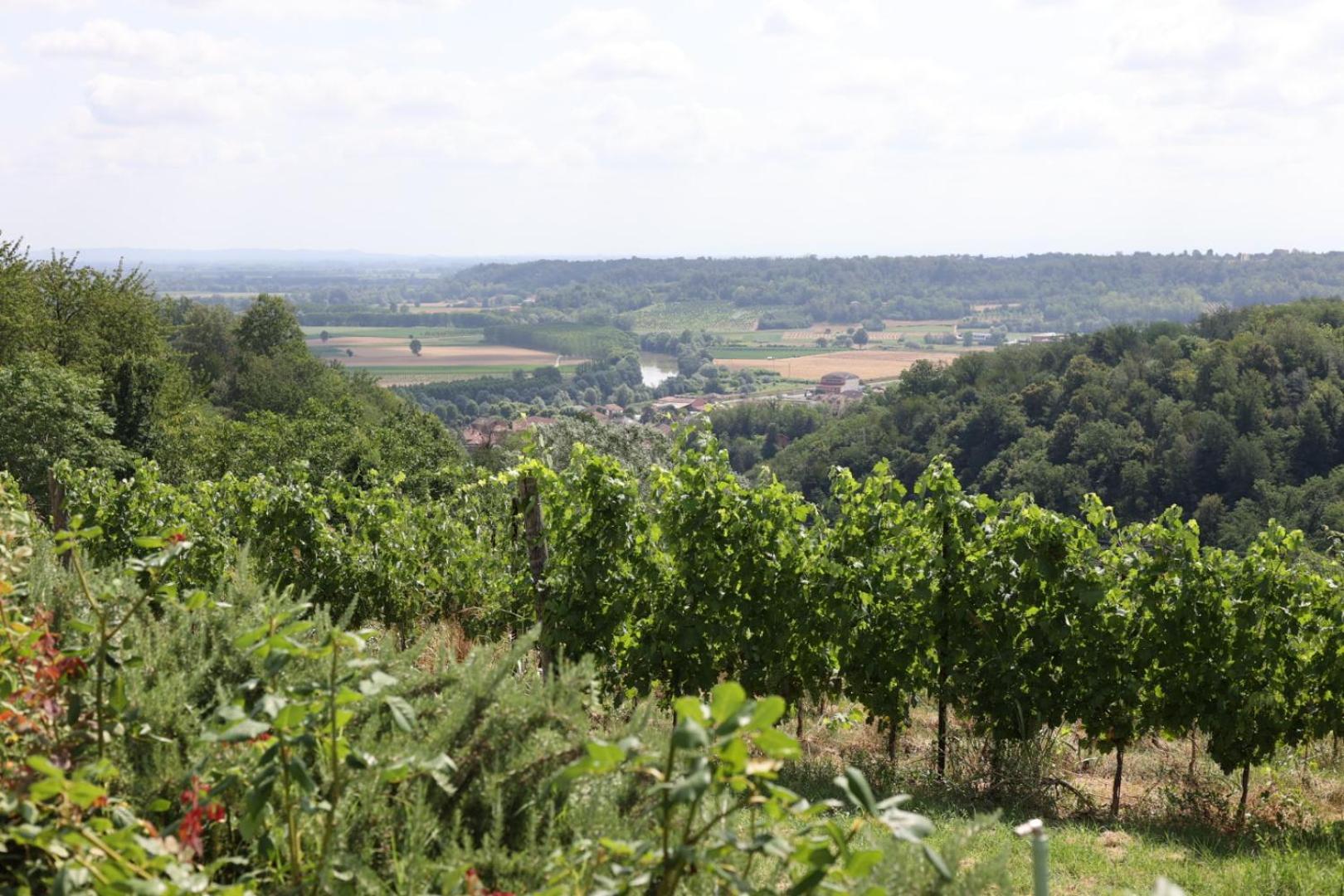 Braida Wine Resort Rocchetta Tanaro エクステリア 写真